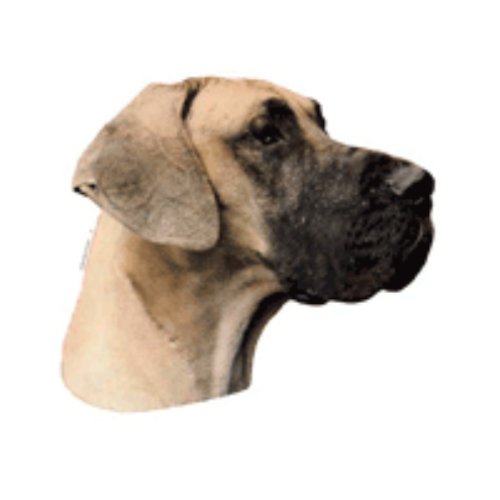 World Stickers Schwandt Heimtierbedarf 12093 Aufkleber 4 St&uuml;ck ca. 80 x 80 mm f&uuml;r Warnschild Deutsche Dogge