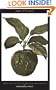 Forbidden Fruit: From The Letters of Abelard and Heloise (Penguin Great Loves)