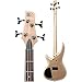 Ibanez SR300 Electric Bass Guitar (Champagne Gold)