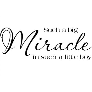 wall art stickers