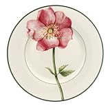 Villeroy and Boch Flora Dinner Plates, Wild Rose, Set of 6 by
