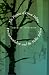 Book The Promise of Green Politics: Environmentalism and the Public Sphere