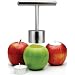 Apple HOLIDAY candle CARVER Christmas centerpiece DECOR