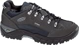 Buy Women's Lowa Renegade GTX Lo Lady