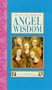 The Little Book of Angel Wisdom (The "Little Books" Series)