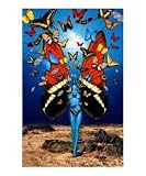 take flight Emerging Artists Photographic Poster Print by David Rickerd, 8x10
