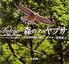 森のハヤブサ―ナニワの空に舞う