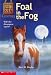 Search : Foal in the Fog (Animal Ark Hauntings #5)