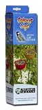 Wildlife World Colour Cups Wild Bird Flowerbed Feeders - Mixed pack of 3