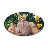 38.5x24.5O Wall Vinyl Sticker Spring Easter Rabbits