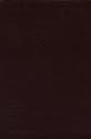 Interlinear Greek-English New Testament-PR