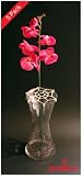 Webvase (Five Pack) - Flower Arranging Aid for Vases