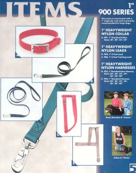 C NYL SGL COLLAR 1