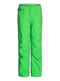 Quiksilver Snow Big Boys' State Youth Pant, Green, X-Large/16