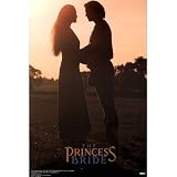(24x36) Princess Bride 80s Movie Sunset Poster Print