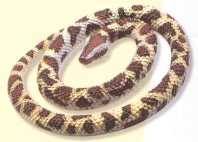 Childrens Toyshop  Toys : Small Rock Python