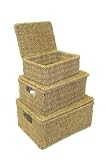 SEAGRASS STORAGE BASKET BOX WITH LID SET OF 3(new design)