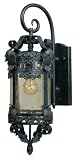 Aztec Collection 24 1/2 High Outdoor Wall Light