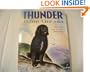 Thunder from the Sea