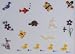 Lake City Craft Quilling Kit Quick and Easy Little Critters, Makes 12