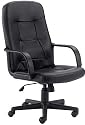 Ergonomic Office Chair - High Back Contemporary Executive Swivel Chair - H8021-GG