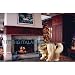 Basho the Sumo Wrestler statue coffee Table Sculpture (The Digital Angel)