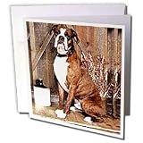 Dogs Boxer - Brindle Boxer - Greeting Cards-12 Greeting Cards with envelopes