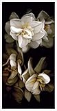 IMAGE OF White Flowers Delight I Art Print Poster by Richard Sutton