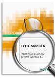 Europaeischer Computer Fuehrerschein - Modul 4 - Tabellenkalkulation (mit Microsoft Excel 2002) gemaess Syllabus 4.0