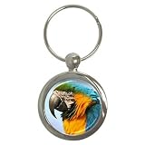 Macaw Parrot Key Chain (Round)