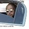 Warren Zevon Albums