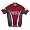 Washington State University Cougars Cycling Jersey (S)