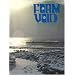Form and Void (Cerebus, Volume 14)
