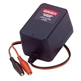 12V 600mAh Battery Charger - B0006OBM8E