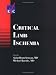 Book Critical Limb Ischemia (European Vascular Course)