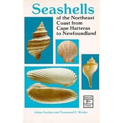 Seashells of the North East Coast from Cape Hatteras to Newfoundland