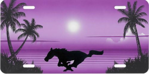 Airbrushed License Plate - Beach License Plate- #14m