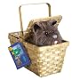 Rubies Costume Wizard of Oz Dorothy's Toto in a Basket