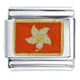 Flag Of Hong Kong Italian Charms Bracelet Link
