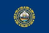 New Hampshire State Flag, Nylon (3 ft. x 5 ft.)