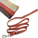 1X6 Nyl Dog Lead Lrg Brown