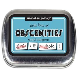 Little Box of Obscenities Magnetic Poetry Word Magnets