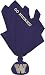 Washington Huskies NCAA Couch Flag
