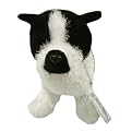 Webkinz Boston Terrier with 3pck cards