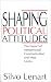 Book Shaping Political Attitudes: The Impact of Interpersonal Communication and Mass Media