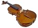 Musical Instruments : VIOLINSMART Novice Viola Package - 16.5 inch