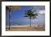 Beach Scene at The Inn at Bahama Bay, Grand Bahama Island, Caribbean Collections Framed Photographic Poster Print by Nik Wheeler, 29x21