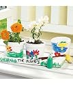 family plant growing kit