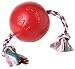 Pet Supplies : Romp N Roll - 6 in. Red