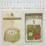 Flux and Mutability